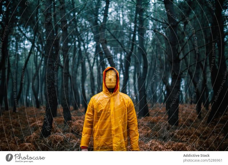 Unbekannte Person in Oberbekleidung steht im Wald Waldgebiet Jacke Deckblatt Tierhaut Herbst Wälder unbekannt fallen Saison Mysterium Wetter stehen inkognito