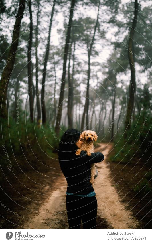 Dame mit kleinem Hund im Herbstwald Frau Besitzer Haustier Welpe Wald Weg Baum Wälder Waldgebiet bedeckt Augen geschlossen Fußweg Zuneigung Bonden Wetter Straße