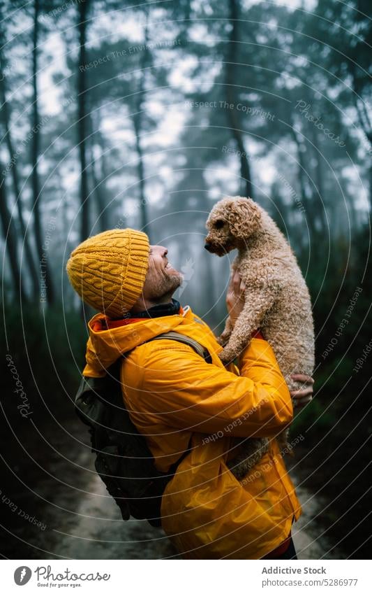 Rucksacktourist hält Welpe im Herbstwald Mann Besitzer Hund Haustier Glück Wald Zuneigung Lächeln Bonden Begleiter Wälder männlich Waldgebiet bedeckt Freude