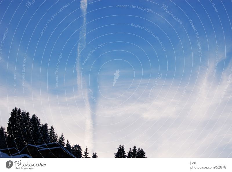 Kondensstreifen Luft Flugzeug weiß Verlauf Wald Haus Tanne Wolken Himmel blau Schnee Kontrast fliegen