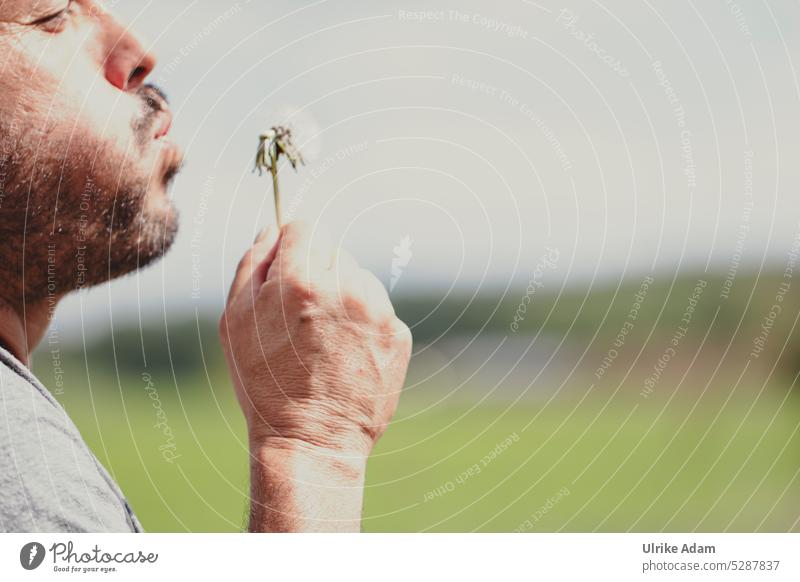 MainFux | Pusteblume flieg Löwenzahn Natur Blume filigran pusten Mann natürlich Wildpflanze Leichtigkeit Frühling Hand