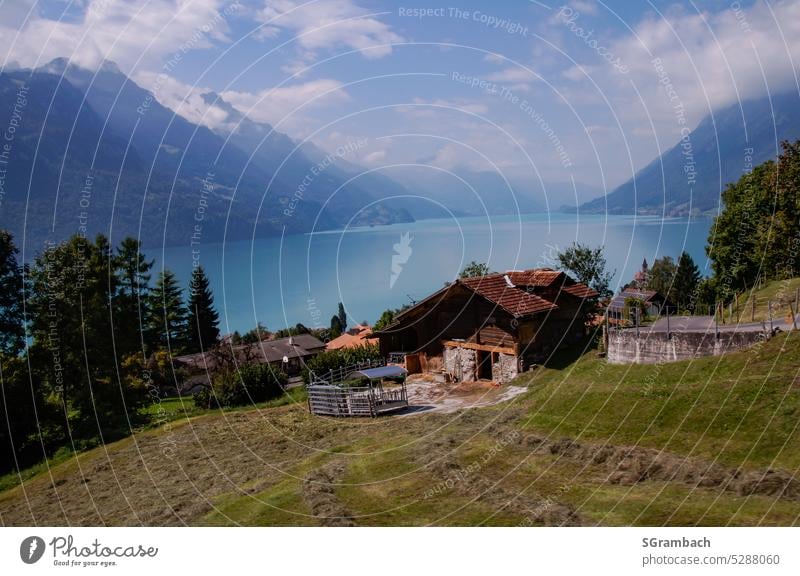 Blick auf den Brienzersee mit Bauernhof im Vordergrund im Kanton Bern Aussicht ausblick ausblick genießen Berge u. Gebirge See Natur Außenaufnahme