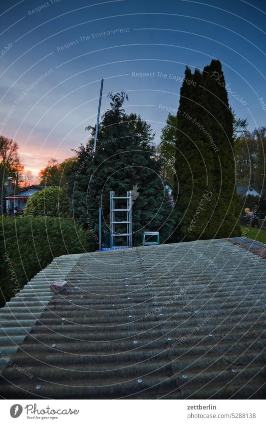 Abend im Schrebergarten abend ast baum dunkel dämmerung erholung erwachen ferien frühjahr frühling frühlingserwachen hecke himmel kleingarten kleingartenkolonie