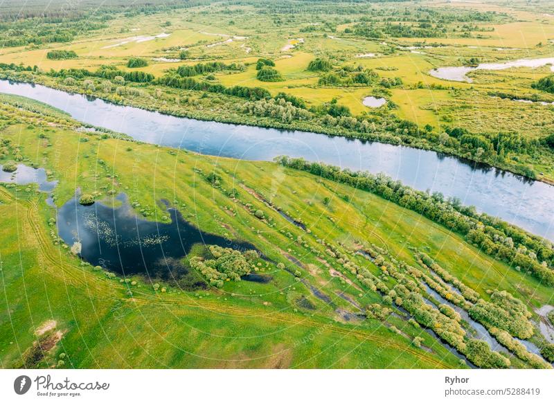 Luftaufnahme. Grüner Wald, Wiese und Fluss-Sumpf-Landschaft im Sommer. Top View of European Nature From High Attitude In Spring. Vogelperspektive der Flut des Flusses im Frühjahr