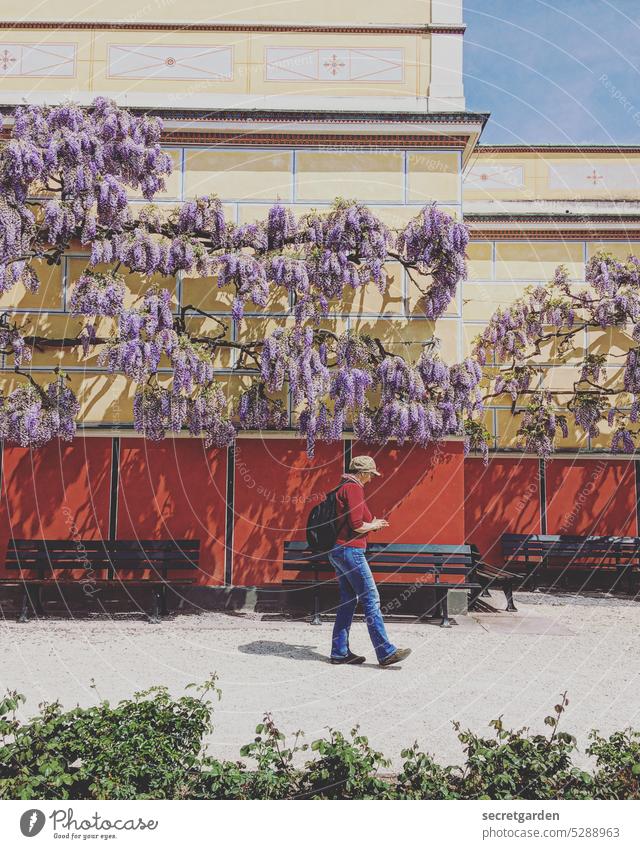 [MainFux 2023] Flaniermeile Frau Garten Park Aschaffenburg Sommer heiß Wetter Hitze Spaziergang spazieren flanieren Rucksack Farbfoto Sonne Tag Sonnenlicht