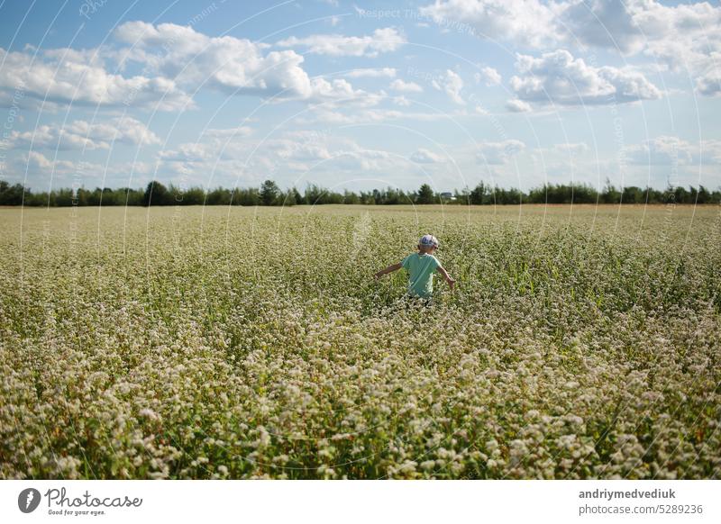 Glücklicher, fröhlicher Junge spielt auf einer blühenden Wiese. Kind hat Spaß in Feld im Freien. Sommer, Urlaub, Kindheit Konzept. Natur Kinder Freiheit Freude