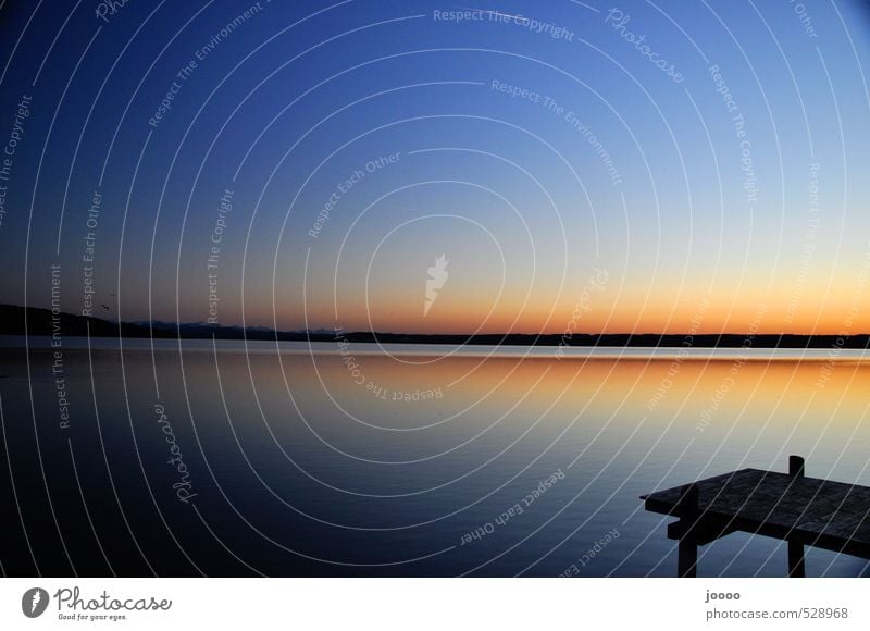 Sonnenuntergang am See Landschaft Wasser Himmel Wolkenloser Himmel Alpen Seeufer ästhetisch orange Horizont ruhig Steg Ammersee Farbfoto Außenaufnahme