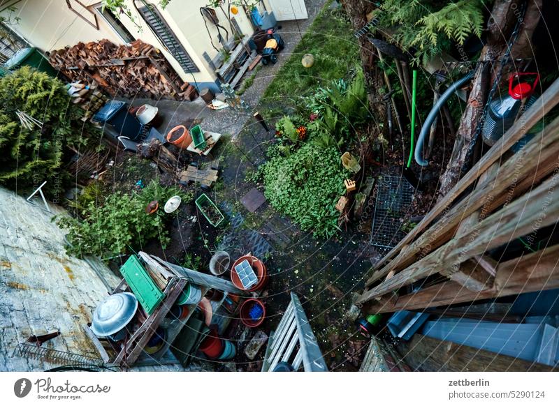 Garten (hinten, die Rumpelecke) abend ast baum blühen blüte dunkel dämmerung erholung erwachen ferien frühjahr frühling frühlingserwachen garten hecke himmel