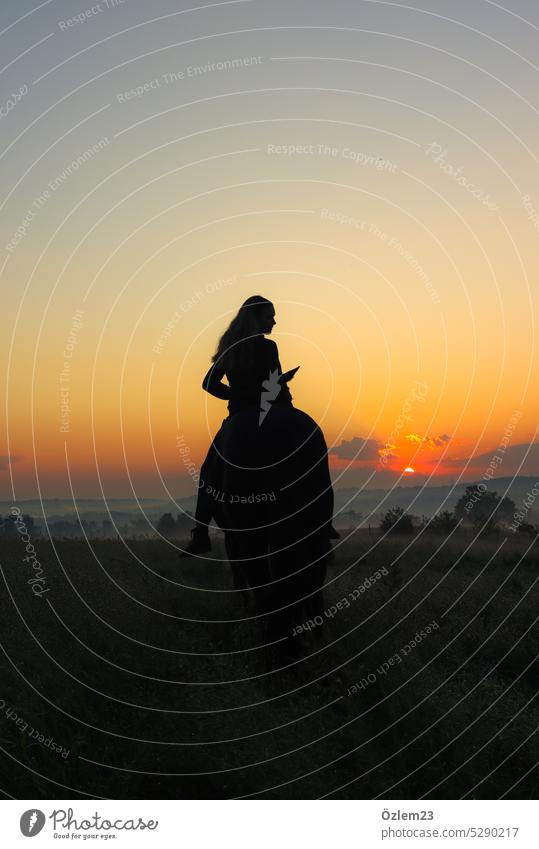 Ein Mädchen auf ihrem Pferd bei Sonnenaufgang schaut zur Seite Sonnenaufgang - Morgendämmerung Sonnenlicht Silhouette Reiten Ruhrgebiet Essen Tier Natur stille