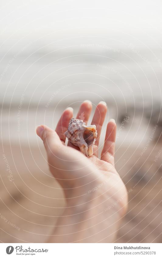 Hand hält eine Muschel am Strand. Sommer Meer Urlaub Stimmung. abstrakt aquatisch Hintergrund schön blau Küste Nussschale Mitteilung Anzeige Zeichnung leer