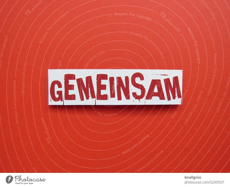 Gemeinsam gemeinsam Zusammensein Zusammenhalt zusammen Gruppe Gemeinschaft Teamwork gemeinschaftlich Zusammengehörigkeitsgefühl Gesellschaft (Soziologie)