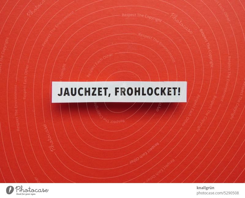 Jauchzet, frohlocket! Weihnachten & Advent Feste & Feiern Stimmung Weihnachtskantate Weihnachtsoratorium festlich Tradition Winter Weihnachtsstimmung Vorfreude