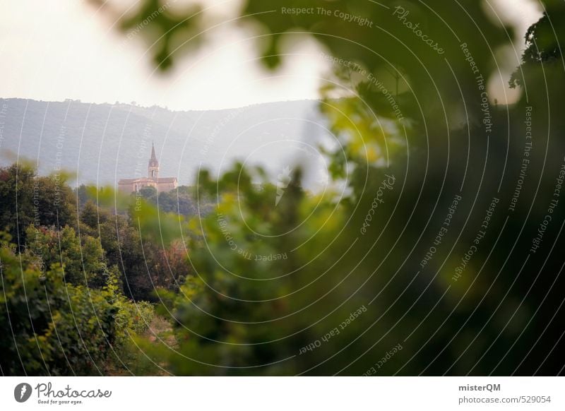 French Style XX Kunst ästhetisch Zufriedenheit Frankreich Religion & Glaube Weingut Kirche grün Schwache Tiefenschärfe verträumt Dorf Farbfoto Gedeckte Farben