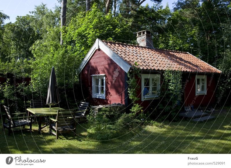 lauschiges Plätzchen Wohlgefühl ruhig Ferien & Urlaub & Reisen Sommer Sommerurlaub Haus Ferienhaus Natur Schönes Wetter Baum Sträucher Garten Fenster Dach