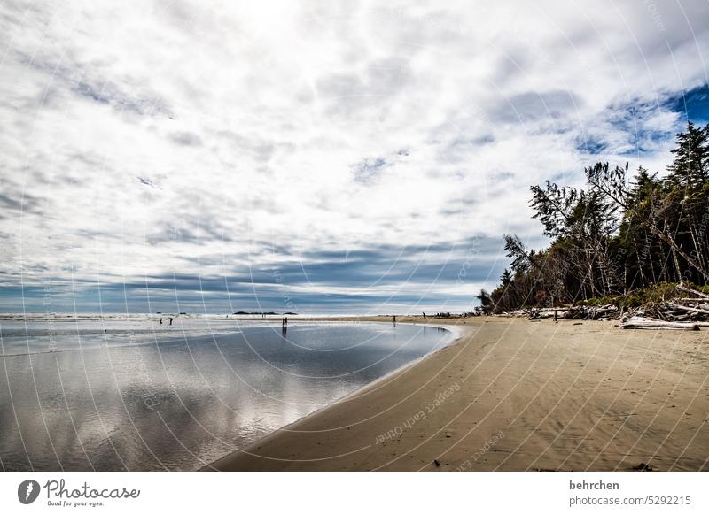 himmel wasser und erde Strand Reflexion & Spiegelung Spiegelung im Wasser Landschaft Wolken Natur Freiheit Küste weite Fernweh Himmel Meer Idylle Sehnsucht