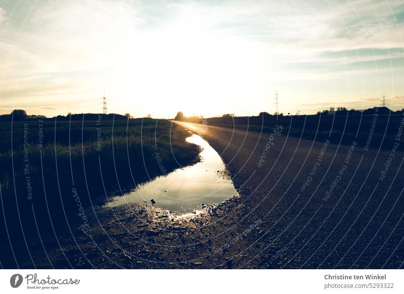 nach dem Regen Pfütze Straße Landschaft Himmel Gegenlicht Sonnenlicht Spiegelung Pfützenspiegelung Wolken Hochspannungsmasten Reflexion & Spiegelung nass Wetter