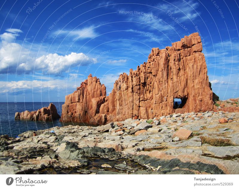 Ferien & Urlaub & Reisen Tourismus Sommer Meer Insel Felsen natürlich Italien Blauer Himmel mediterran Europa Farbfoto Außenaufnahme Tag