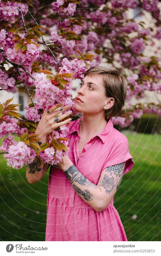 Under the cherry blossom Frau Junge Frau verträumt Verträumtheit Blüten Blütenblatt Kirsche Kirschblüten rosa Garten Kleid Tattoo halten berühren Rasen Portrait