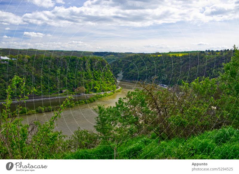 Blick auf den sagenumwobenen Loreleyfelsen im Mittelrheintal bei Sankt Goarshausen, Rheinland-Pfalz, Deutschland Rheintal Rheinhöhe Fluss Landschaft Frühling