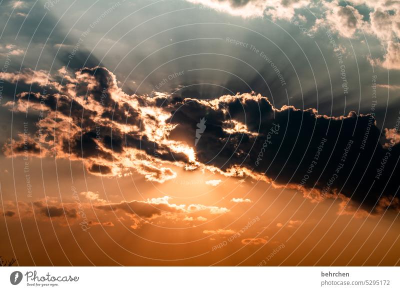 himmelsmärchen Glaube Hoffnung Abenddämmerung Sonnenschein Sonnenlicht Regenwolken Sonnenuntergang Himmel fantastisch Wolken Licht Außenaufnahme Afrika Namibia