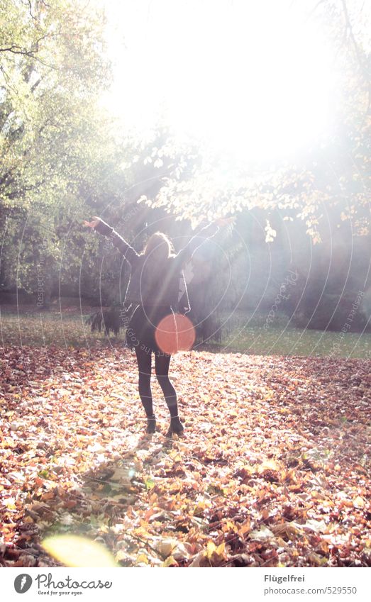 Welcome autumn! feminin Junge Frau Jugendliche 1 Mensch 18-30 Jahre Erwachsene Tanzen Herbstlaub Sonnenlicht Warmherzigkeit Freiheit Baum Punkt Blendenfleck