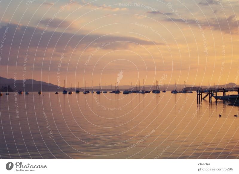 Bodensee See Wasserfahrzeug Segeln Segelboot Abend Abendstimmumg