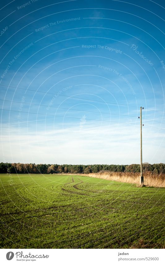 umleitung. Telekommunikation Energiewirtschaft Himmel Herbst Schönes Wetter Gras Feld Wege & Pfade Linie blau Horizont Ferne Kurve Strommast Kabel Verbindung