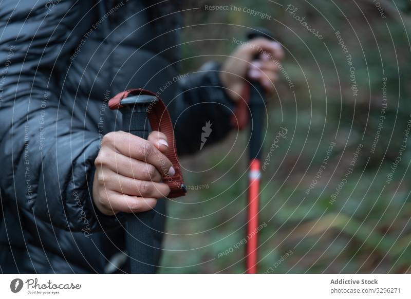 Unbekannte Frau mit Trekkingstöcken Wald Wanderer Spaziergang Herbst Natur kleben erkunden Wanderung Abenteuer Boden Aktivität reisen Reise warme Kleidung