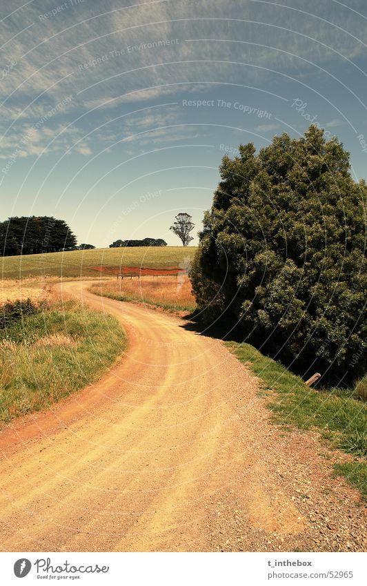 Landscape Himmel Australien Gippsland Natur Länder Licht tree street way sky blue bright dark contrast old landscape grass stone dirk rural orange dust