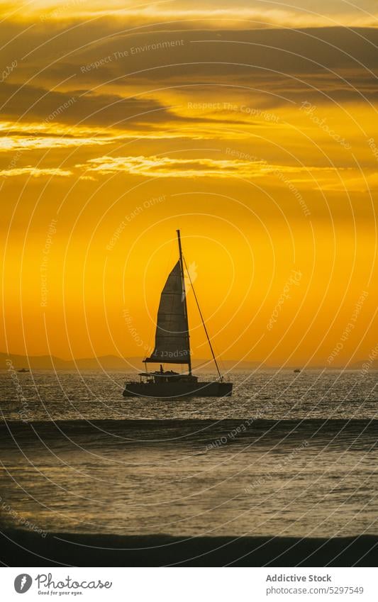 Einsames Segelboot auf dem Meer MEER Sonnenuntergang Schwimmer Jacht Meereslandschaft Himmel Abend Boot Landschaft Dämmerung Natur Windstille malerisch