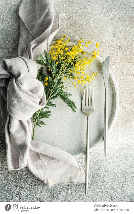 Gedeckter Tisch für das Osteressen mit Mimosen Flora Ostern acacia dealbata Aroma aromatisch Hintergrund Blaukehlchen Beton Besteck Abendessen Essgeschirr