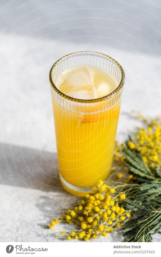 Mimosen-Cocktail im Glas Alkohol alkoholisch Hintergrund Getränk Champagne Sektglas abschließen Beton Kristalle Tag trinken Eleganz Feinschmecker grau Eis Saft