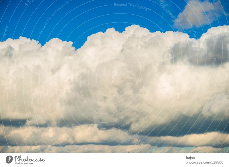 Wolken am Himmel Natur Wetter Wind Sturm Bewegung bedrohlich dunkel blau schwarz Stimmung Wolkenformation Schichtung dramatisch Kumulus schlecht Tiefdruckgebiet