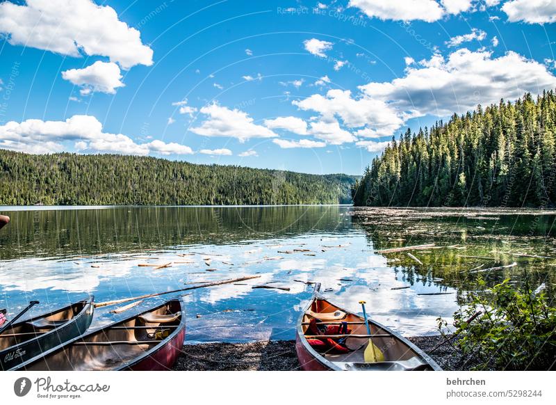 in der ruhe liegt die kraft Paddeln Natur British Columbia Idylle Abenteuer Nordamerika Bergsee Fernweh Landschaft See Kanada Ferne Bootsfahrt Wald