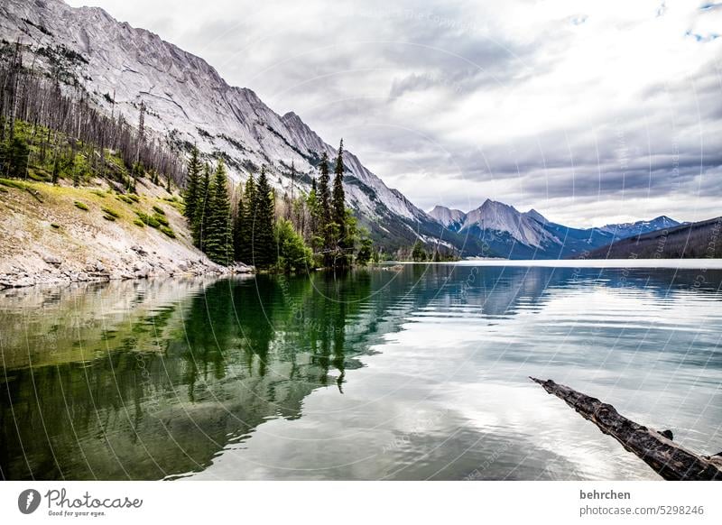 wenn man sich schönheit bewusst wird Wolken Alberta Jasper National Park See Bäume Landschaft Wald Berge u. Gebirge Kanada Nordamerika Rocky Mountains Natur