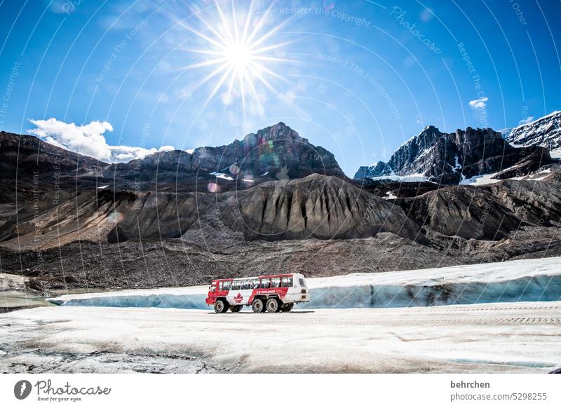 ICE explorer Wasser Icefields Parkway Felsen Ferne Fernweh Alberta fantastisch besonders Tourismus Ferien & Urlaub & Reisen Außenaufnahme Natur Rocky Mountains