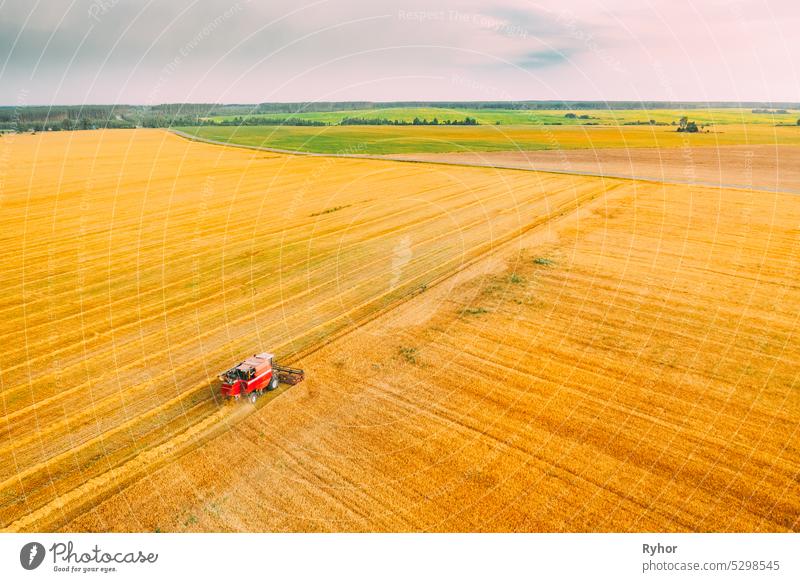 Luftaufnahme Mähdrescher arbeiten im Feld. Ernte von Weizen in der Sommersaison. Landwirtschaftliche Maschinen Sammeln von Weizen-Samen Erntemaschine Antenne