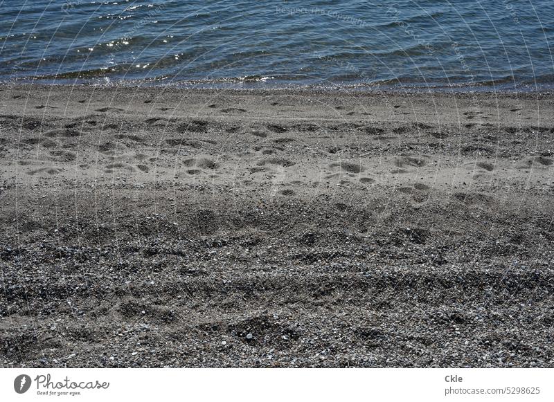 Spuren im Sand, Bewegung im Wasser Strand Fußspuren Reifenspuren Wellen Sonne Licht Reflexion Meer Ferien & Urlaub & Reisen Küste Sandstrand Erholung Sommer