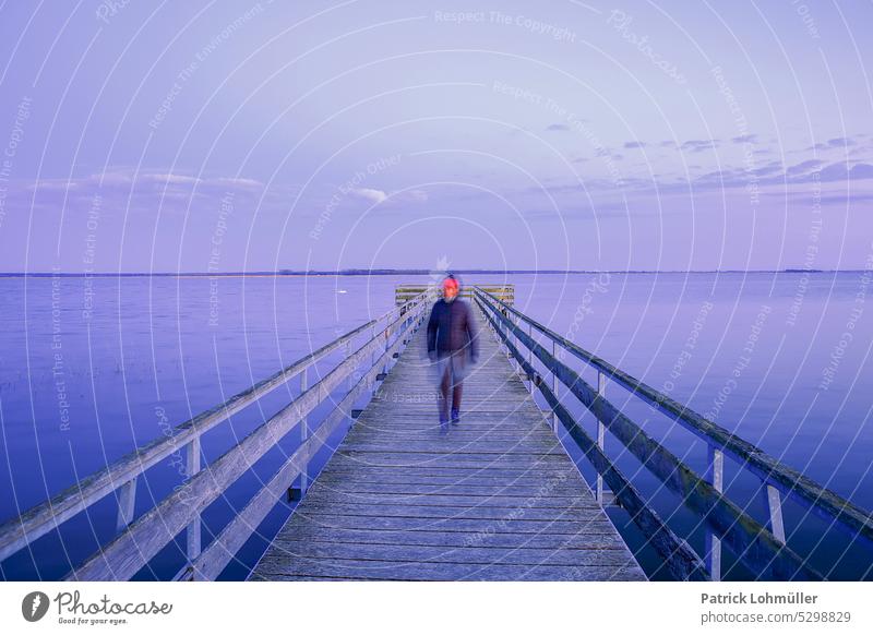 Laufsteg am Bodden ostsee born am darß wasser bodden frau mensch person tourismus reisen urlaub holz mecklenburg-vorpommern fischland darß zingst Ostdeutschland