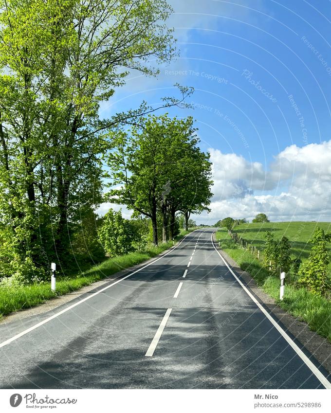 Landstraße zweispurig Mittelstreifen Autofahren Verkehrswege außerorts Straßenverkehr leere Straße Asphalt Roadmovie Fahrbahn Straßenrand unterwegs on the road