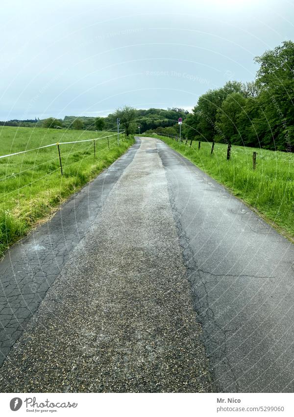 Landstraße Weidezaun geradeaus Zaun Baum Landschaft außerorts on the road Straßenverkehr Wege & Pfade Verkehrswege Asphalt unterwegs Autofahren Fahrbahn