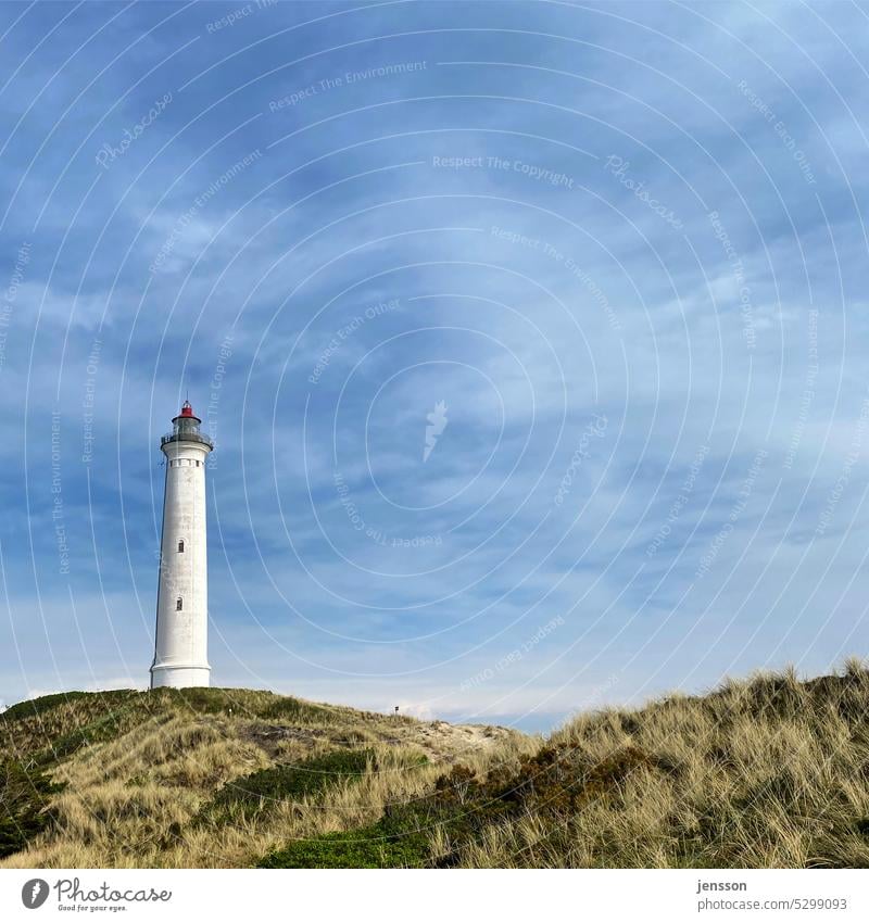 Leuchtturm Lyngvig Fyr an der dänischen Westküste bei Hvide Sande Dänemark Düne Nordsee Landschaft Jütland Himmel Außenaufnahme Küste Sehenswürdigkeit