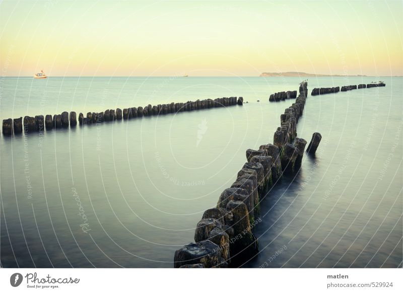 Chromosom Landschaft Wasser Himmel Wolkenloser Himmel Horizont Sonnenaufgang Sonnenuntergang Herbst Wetter Schönes Wetter Ostsee Jacht blau gelb schwarz