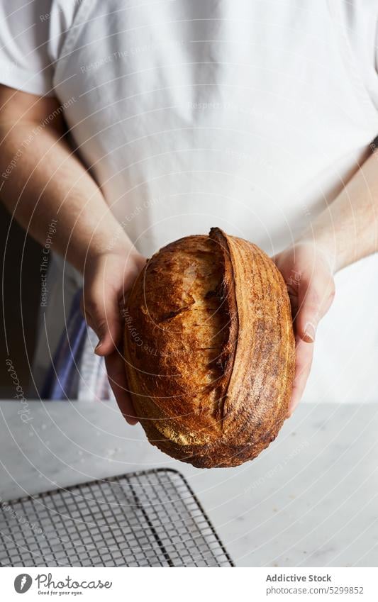 Kronenbäcker mit gebackenem Sauerteigbrot Person Brot selbstgemacht frisch Lebensmittel Gebäck geschmackvoll Küche lecker Bäckerei Mahlzeit Koch Schürze