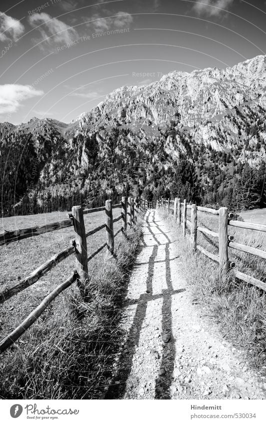 Dieser Weg Ferien & Urlaub & Reisen Umwelt Natur Himmel Wolken Sommer Wiese Wald Hügel Felsen Alpen Berge u. Gebirge Gipfel Dolomiten Wege & Pfade Ferne hoch