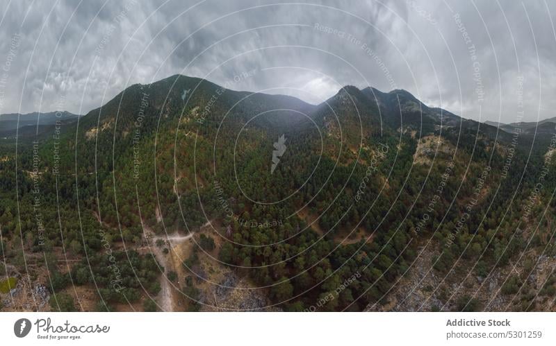 Grüne Bäume im Wald Baum üppig (Wuchs) Landschaft Laubwerk laubabwerfend Wetter fallen malerisch Gelassenheit friedlich atemberaubend Wälder Waldgebiet Wachstum