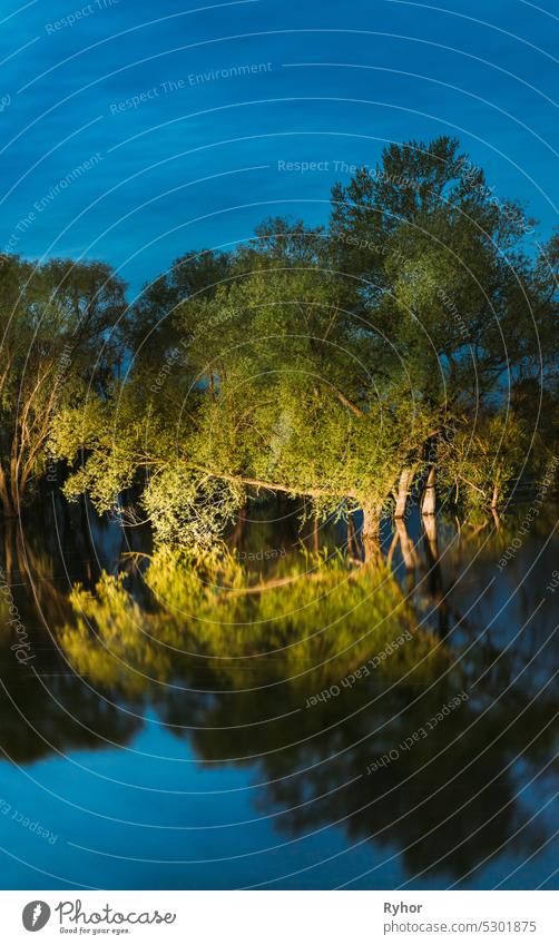 Nachtlandschaft mit Bäumen, die im Wasser stehen, während der Frühjahrsflut Überschwemmungen im Mondlicht. Bäume Wälder in Wasserflut während einer Frühlingsflut. Schöne Frühlingslandschaft mit Reflexion in Fluss. Überschwemmung See oder Fluss