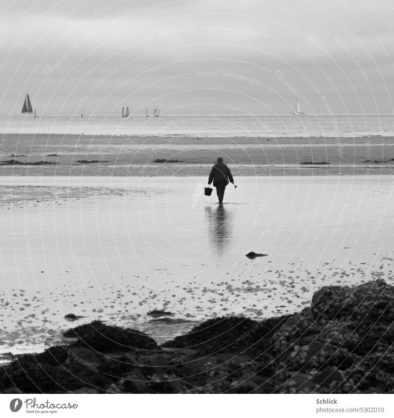 Bretagne peche a pied Wattfischen Mensch Eimer Meer Segelschiffe Horizont Himmel Schwarzweißfoto Außenaufnahme Landschaft Wasser Ebbe Wattenmeer Küste Strand