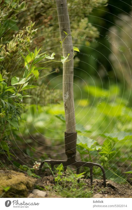 Gärtners Pause Garten Gartenarbeit Grabgabel Schlingpflanze Winde Wicke Pflanze umschlingen grün selektiver fokus Unschärfe umgraben Mistgabel symbolisch