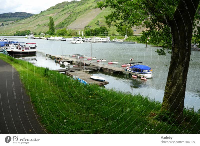 Boote und Yachten im Yachthafen an der Mosel zwischen Weinbergen in Traben-Trarbach in Rheinland-Pfalz in Deutschland Hafen yachthafen Schiff Bootssteg Steg